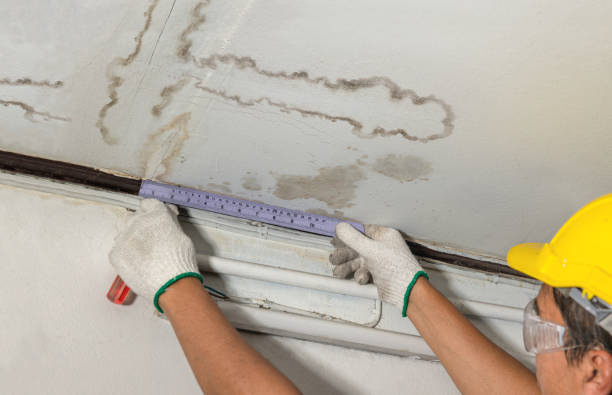 Reliable Water Damage contractor in Larkspur, CO by Water Damage Irwin